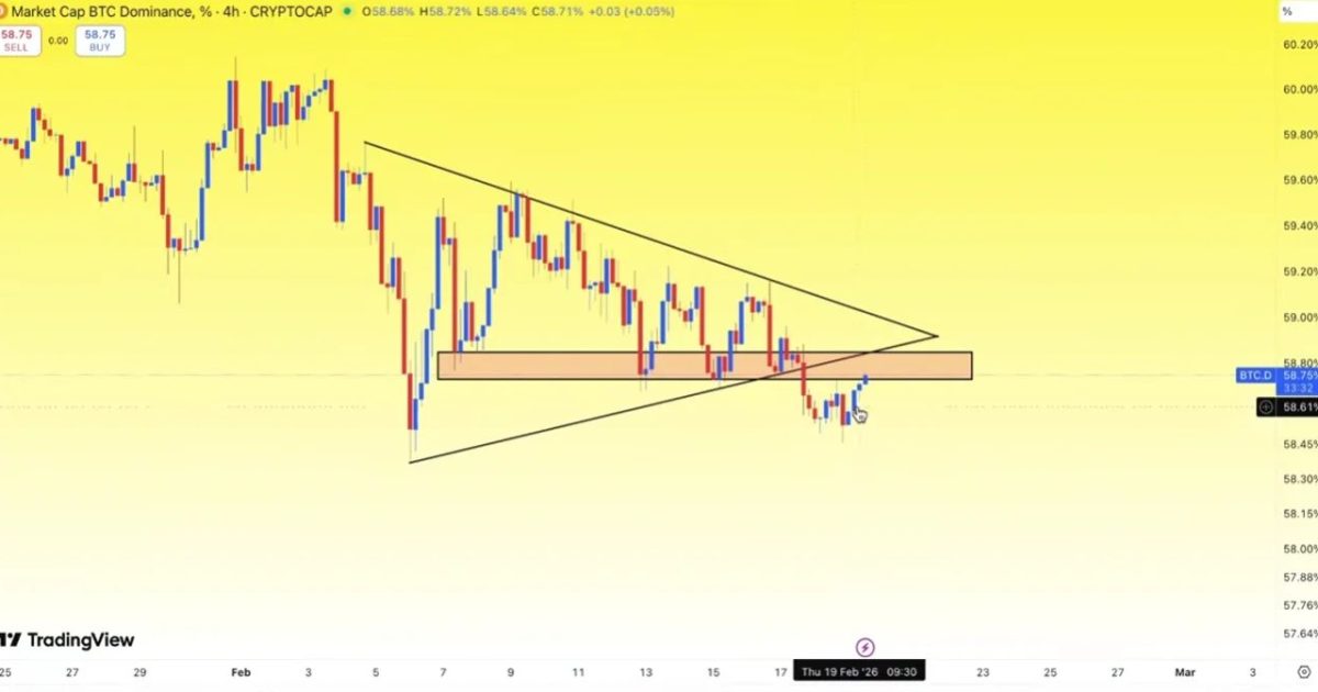 🔹 BTC Dominance (BTC Hakimiyet Oranı)