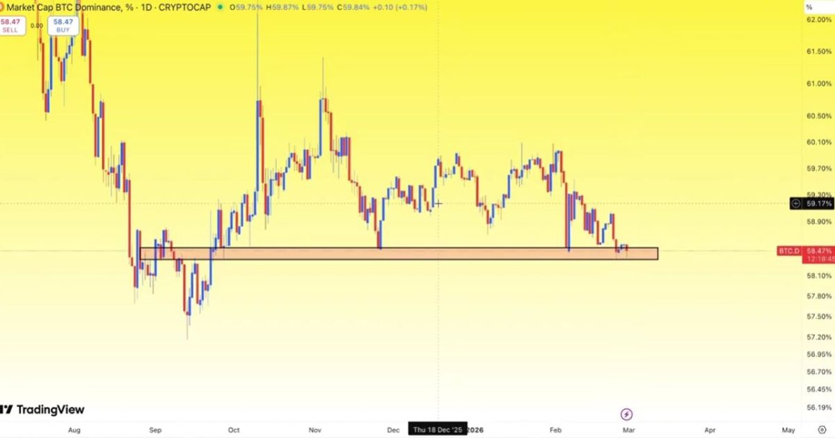 BTCUSDT Dominance (Bitcoin Hakimiyeti)