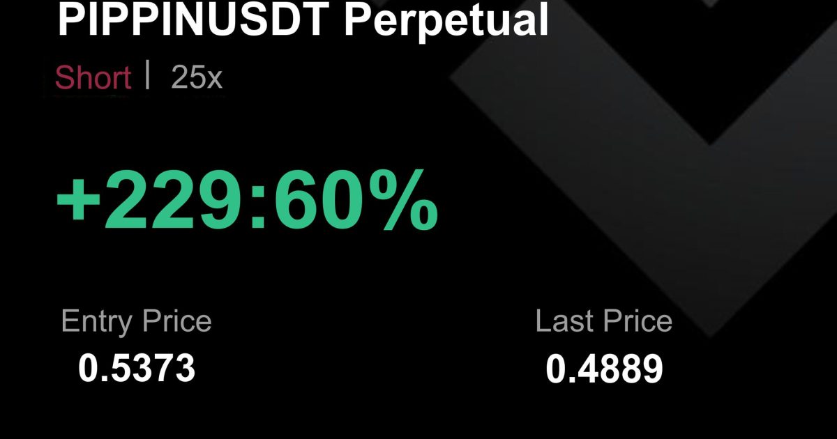 PIPPINUSDT İŞLEM SONUCU