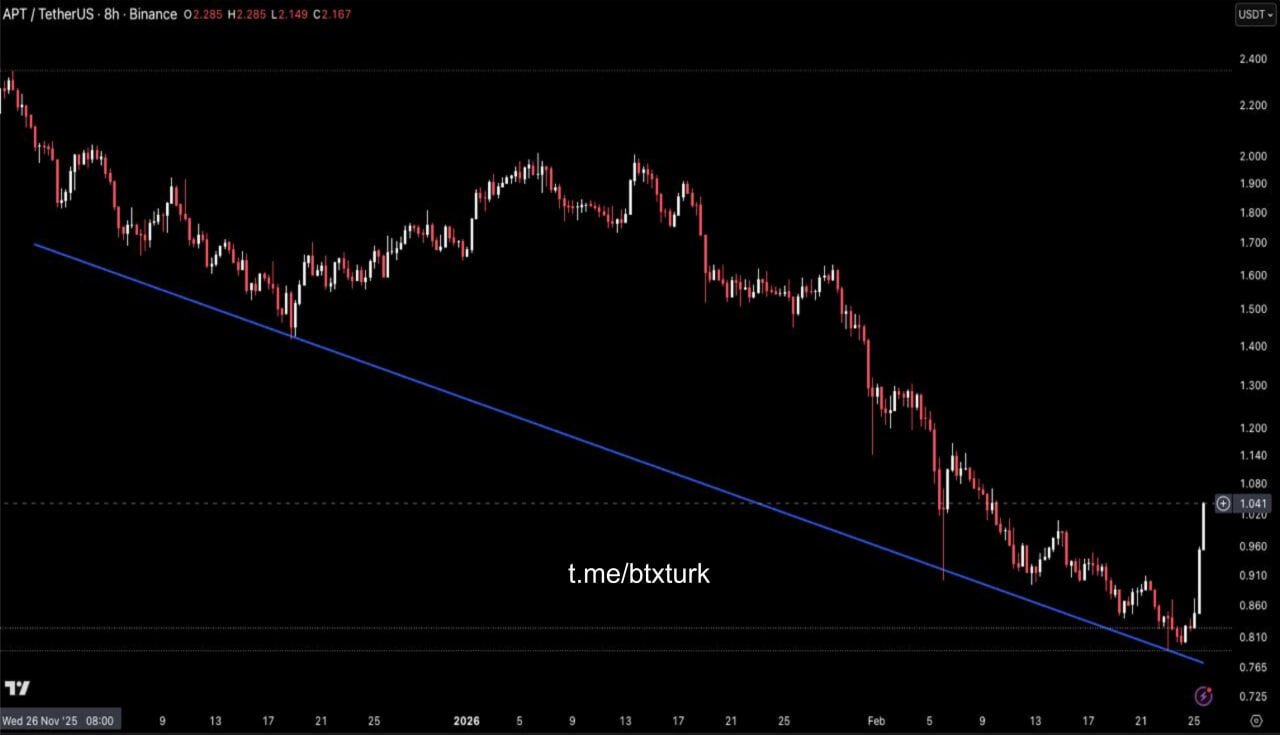 BTXTURK PİYASA GÜNCELLEMESİ: #APT